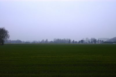 Green fields, gray sky