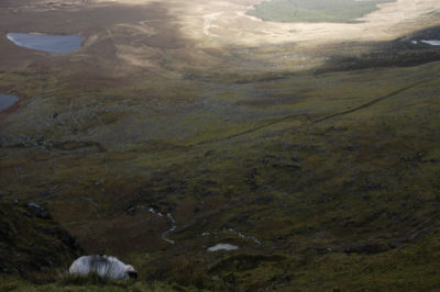 Connor Pass, Dingle Peninsula, Kerry