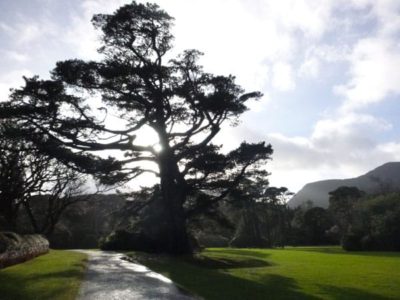 Killarney National Park (and the sun!), Kerry