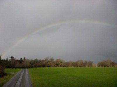 Gold! (Killarney National Park)